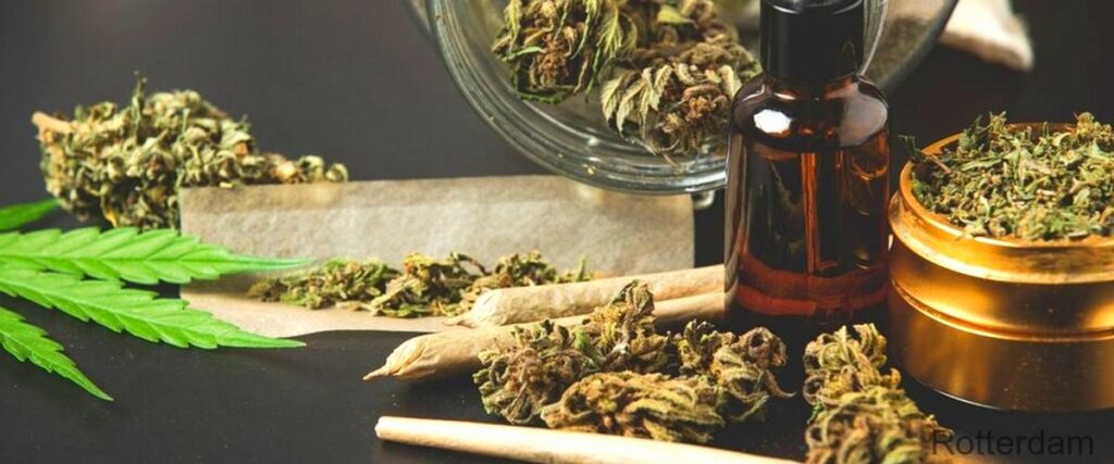 De 7 beste cannabiswinkels in Rotterdam