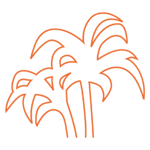 De bedrijfsnaam is coconuts