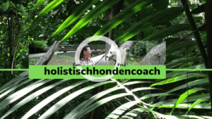 De bedrijfsnaam is holistischhondencoach/prive hondentraining rotterdam
