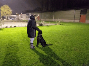 De bedrijfsnaam is hondenschool rotterdam usv-vop