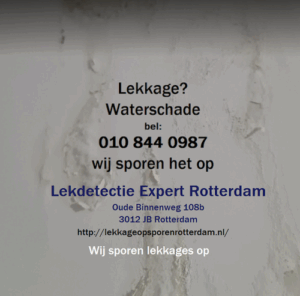 De bedrijfsnaam is lekdetectie expert