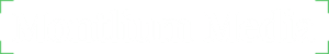 De bedrijfsnaam is Montlium Media