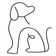 De bedrijfsnaam is pawfect homestay