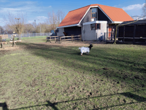 De bedrijfsnaam is speelboerderij Odilia