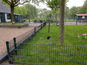 De bedrijfsnaam is stadsboerderij de oedenstee