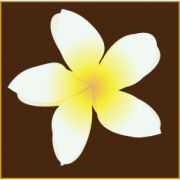 De bedrijfsnaam is Tira Thai Massage