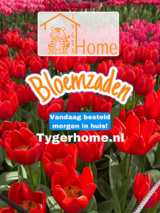 De bedrijfsnaam is tyger home
