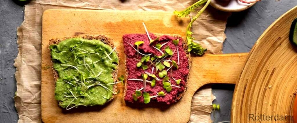 De 7 beste veganistische restaurants in Rotterdam